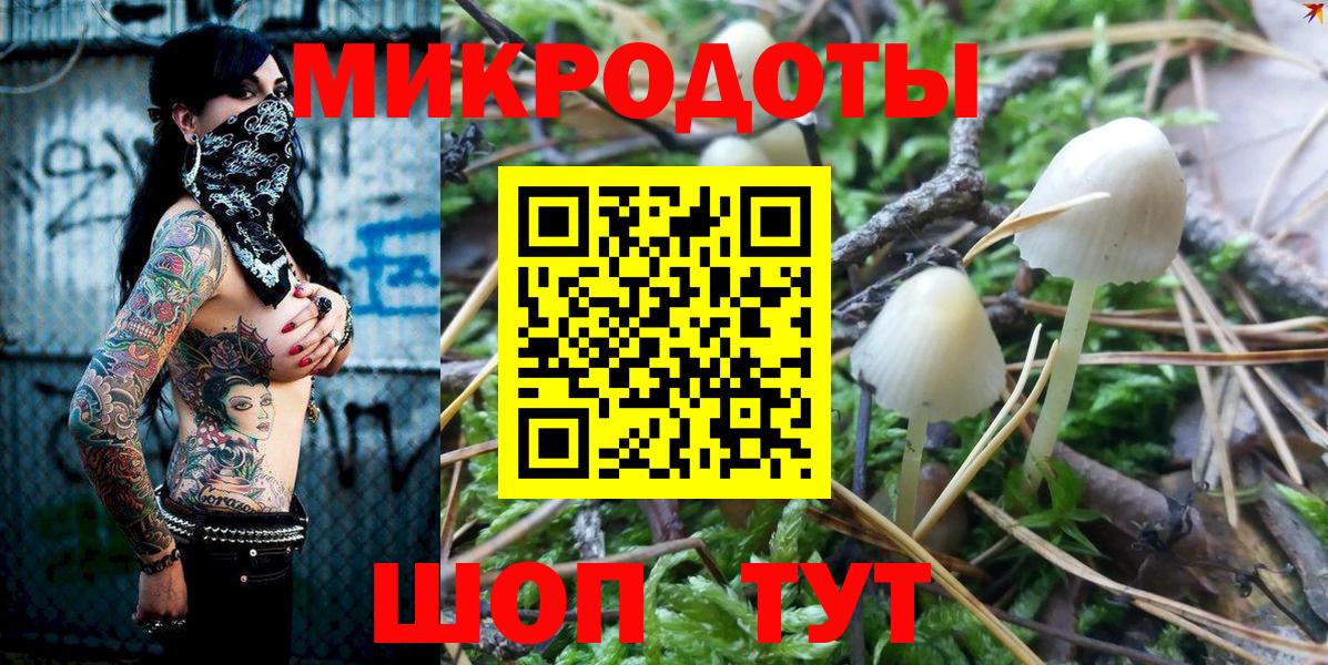 Магадан  Псилоцибиновые грибы Psilocybine cubensis  Вход с VPN 
