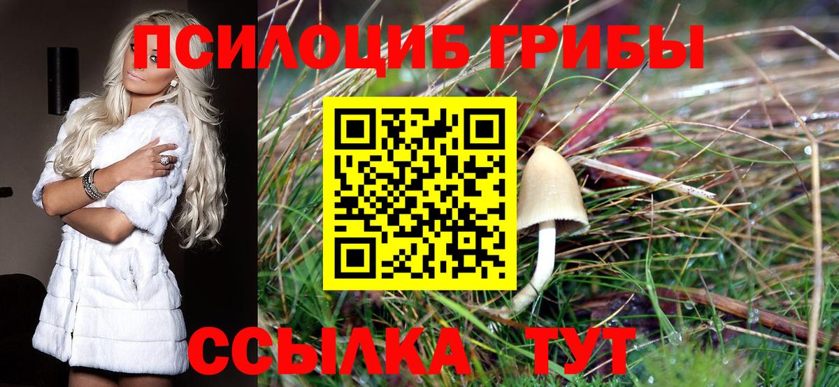 Галлюциногенные грибы GOLDEN TEACHER Магадан